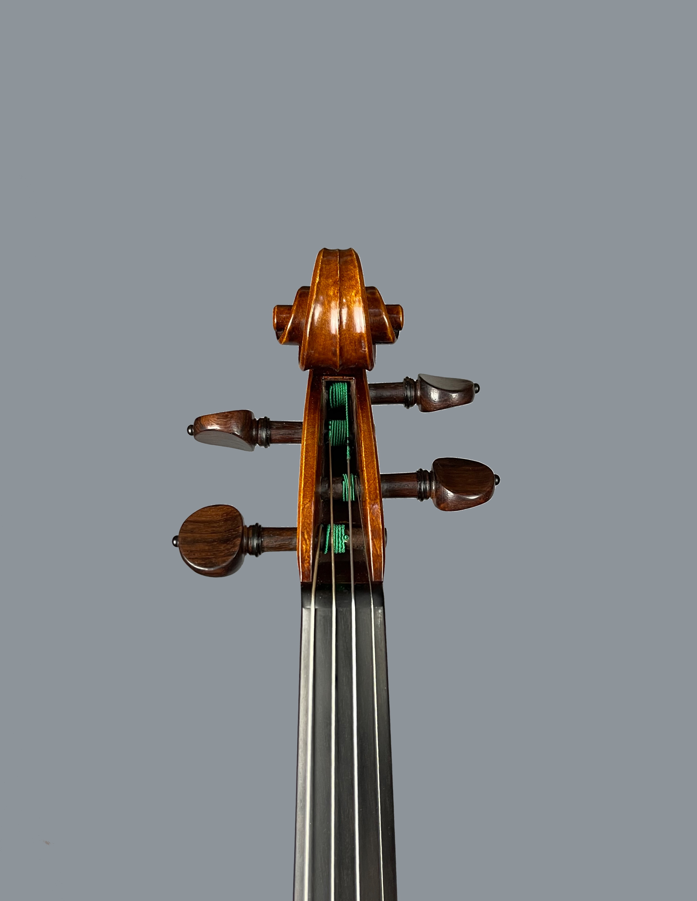 Violin by Peter Boardman 2021