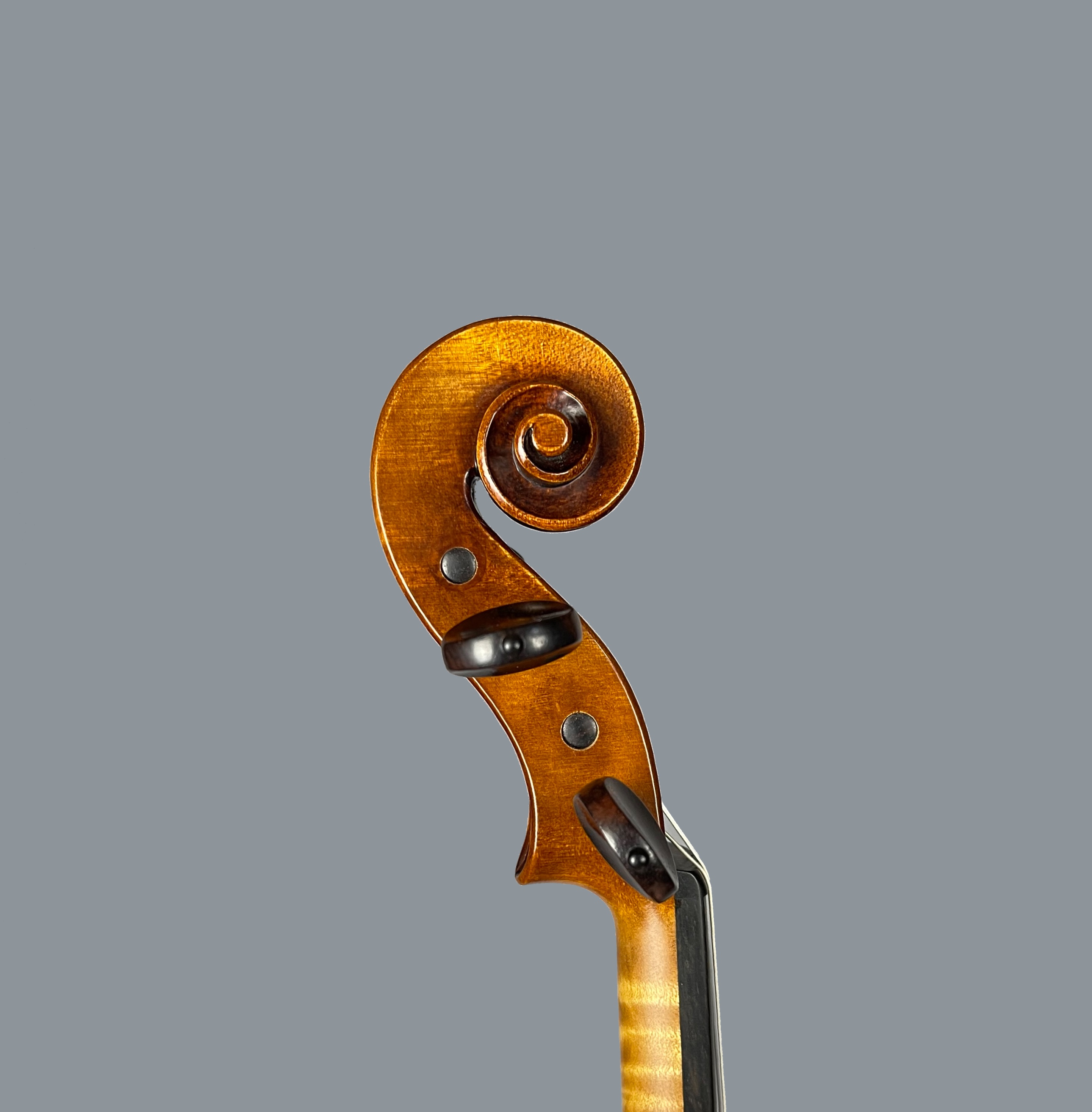 Violin by Peter Boardman 2021